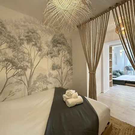 La Petite Mancelle - Hôpital Du Mans Appartement