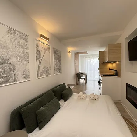 Apartman La Petite Mancelle - Hopital Du Mans
