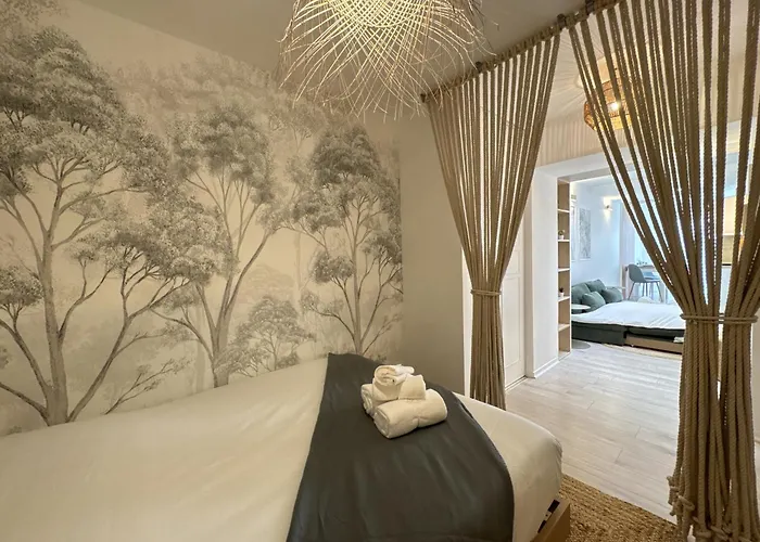 La Petite Mancelle - Hôpital Du Mans Appartement