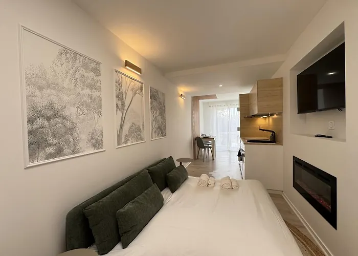 Appartement La Petite Mancelle - Hôpital Du Mans